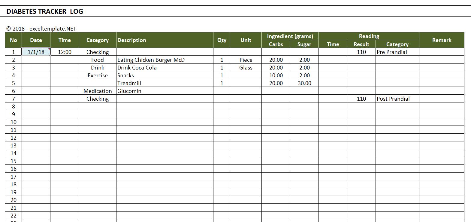 Blood Glucose Log Template from spreadsheetpage.com