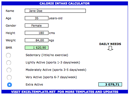 Calorie Tracker Spreadsheet intake calculator