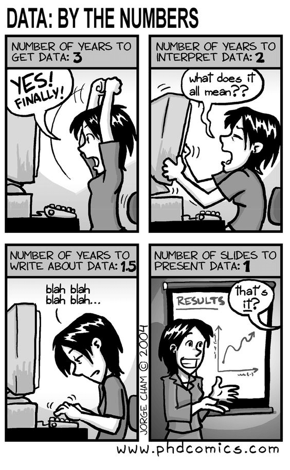 Excel Jokes Data Numbers