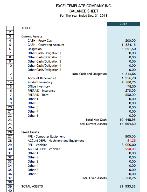Financial Ratio Template balance report