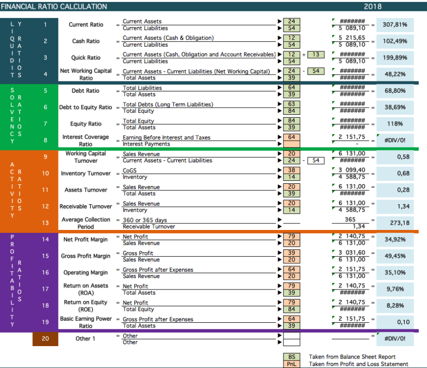 Financial Ratio Template calculation