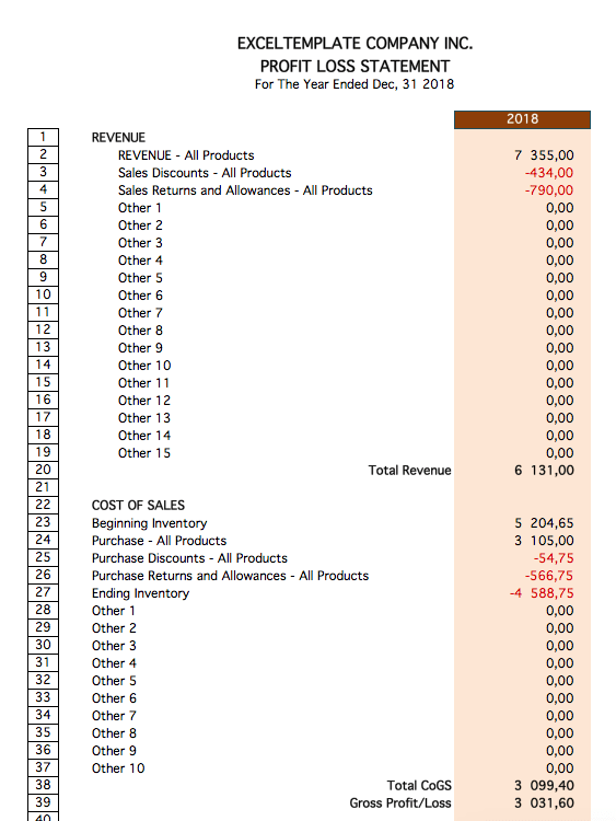 Financial Ratio Template profit loss report