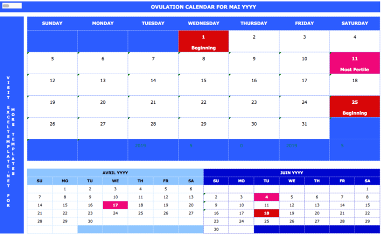 Menstrual Cycle Calendar