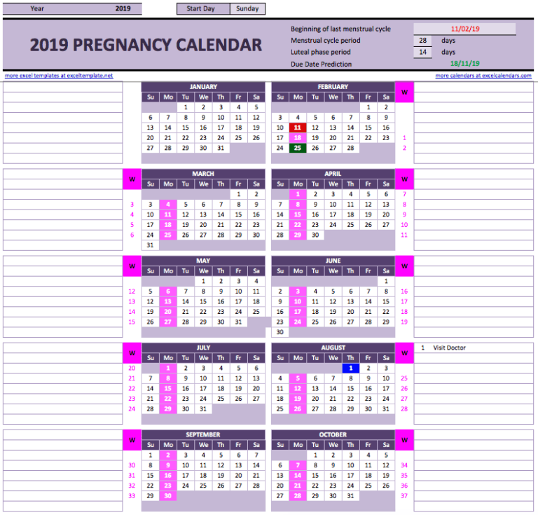 Menstruation Calculator Pregnancy pink
