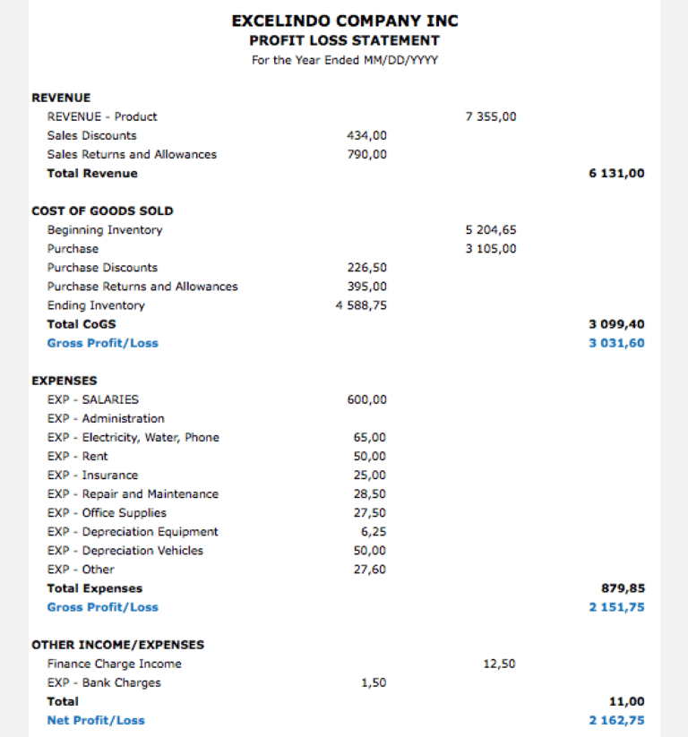 Merchandising Business Accounting pnl report