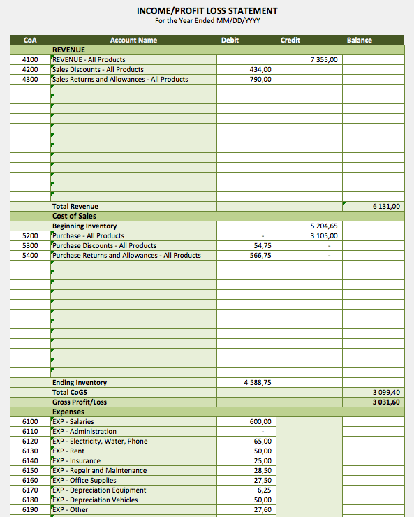 Profit and Loss Statement Template format