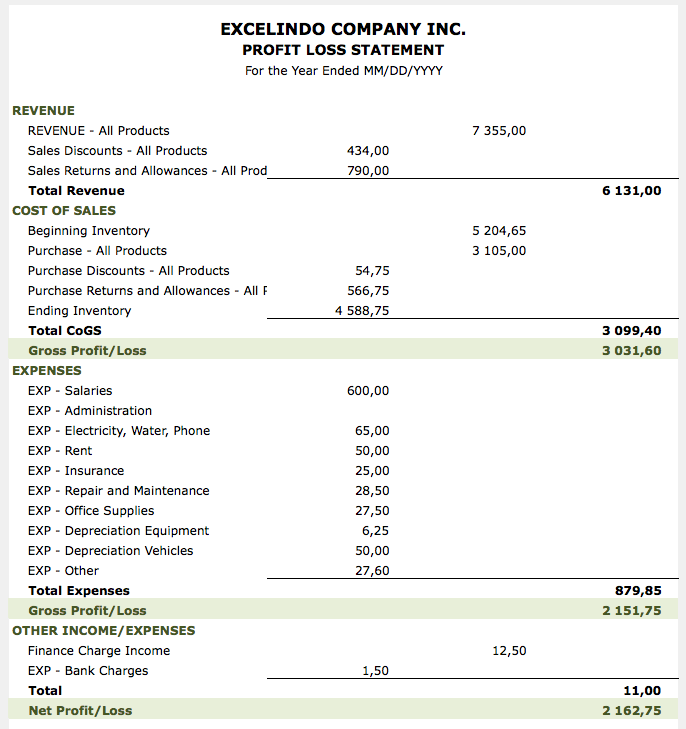 Profit and Loss Statement Template report