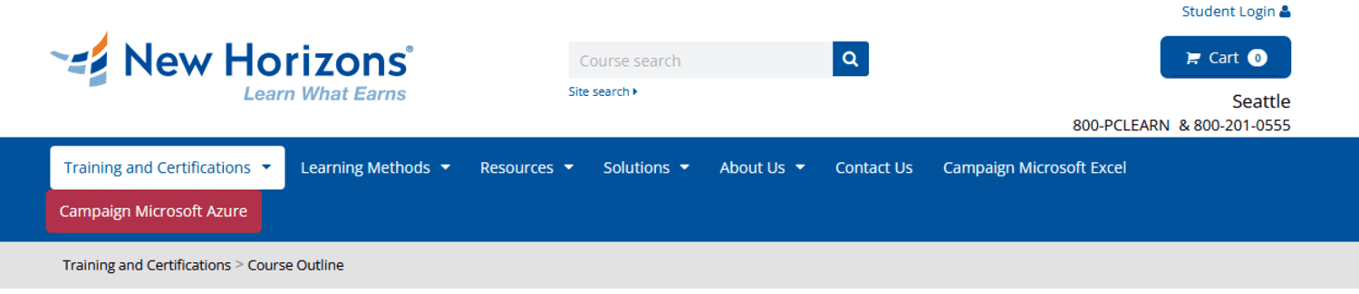 Visual Basics for Applications with Microsoft Excel from New Horizons
